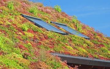 New Ollerton living roof systems
