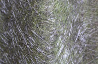 New Ollerton fibreglass roof work